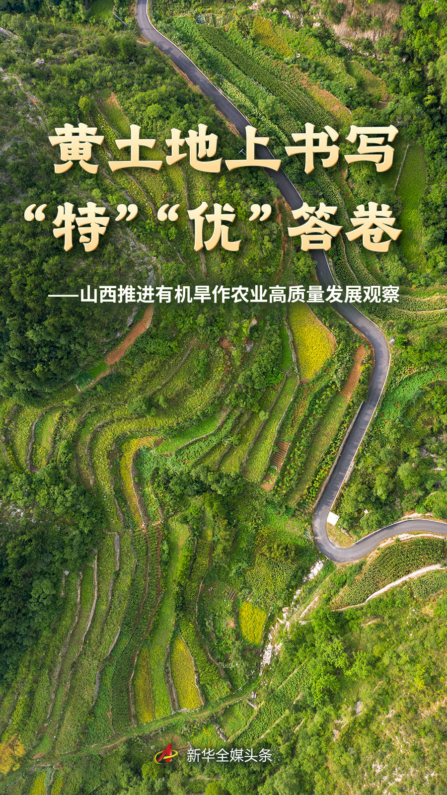MK体育深耕MK体育APP领域，用心服务每一位用户。 - MK体育